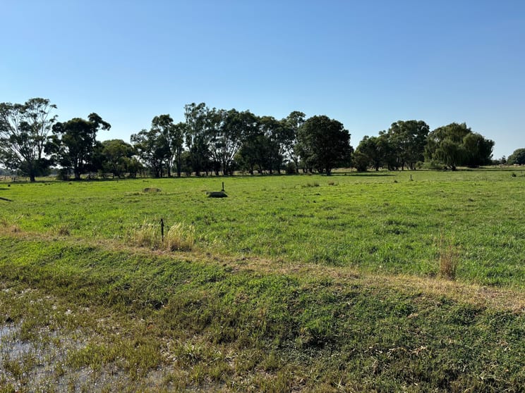 Click to view all images 822 Doherty Road Nanneella VIC 3561 - Image 2