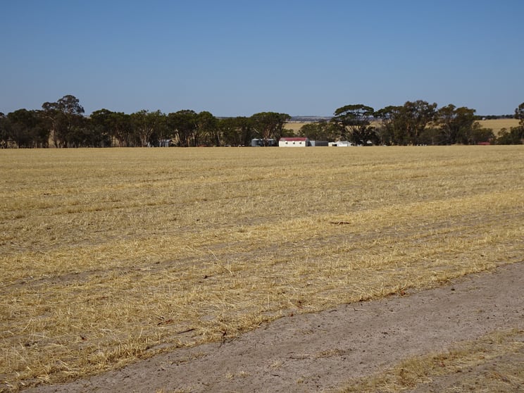 340 Healey Road Wogolin WA 6370 - Image 2