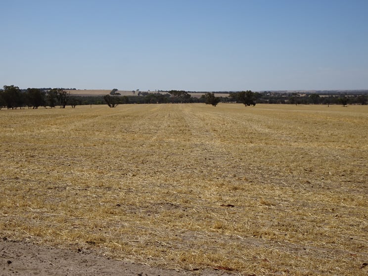340 Healey Road Wogolin WA 6370 - Image 3