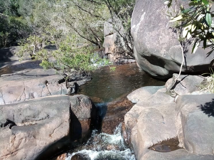 Click to view all images 625 Sugarbag rd (east ) Tabulam NSW 2469 - Image 2