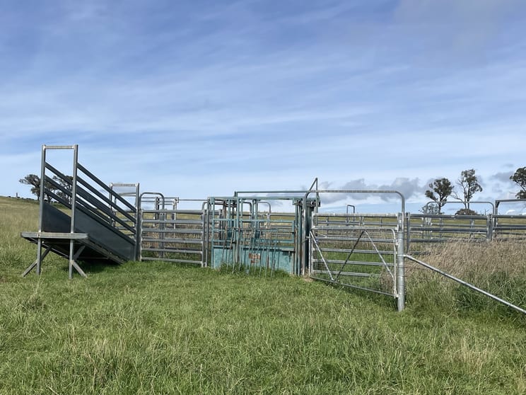 Click to view all images 23 Chandlers Road Yarrowitch NSW 2354 - Image 2