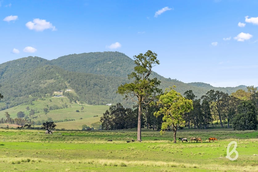 234 Myall Creek Road Glendon Brook NSW 2330 - Image 2