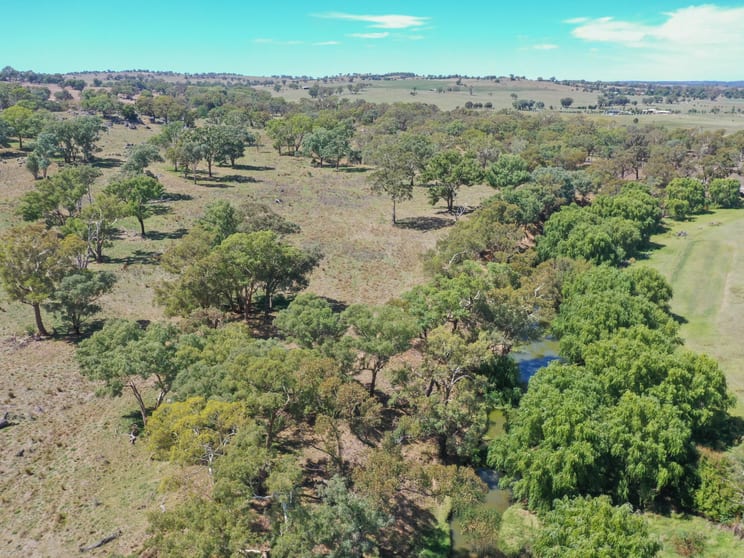Click to view all images 1089 Henry Lawson Way Young NSW 2594 - Image 3