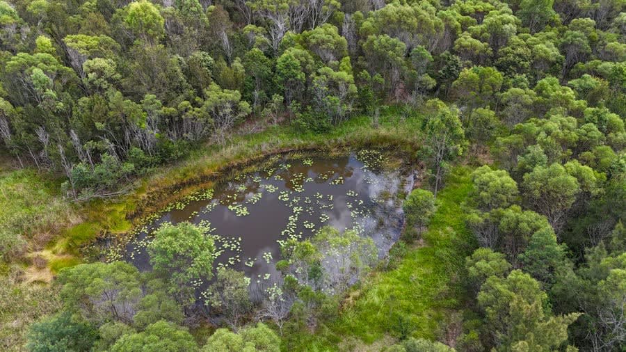 Click to view all images Lot 113 Orara Way Lanitza NSW 2460 - Image 3