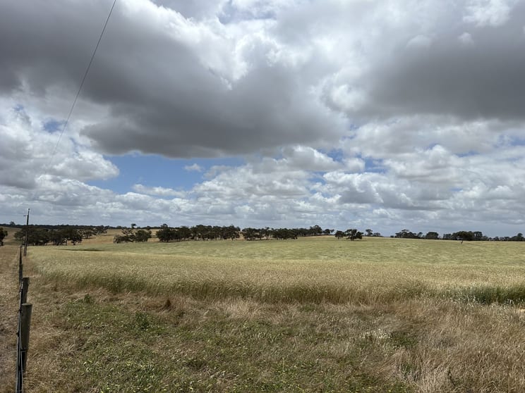 Click to view all images Lot 189 Roy Lawries Road Lochaber SA 5271 - Image 3