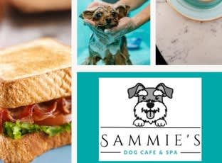 Click to view all images Animal Related business for sale in Moonee Beach - Image 1