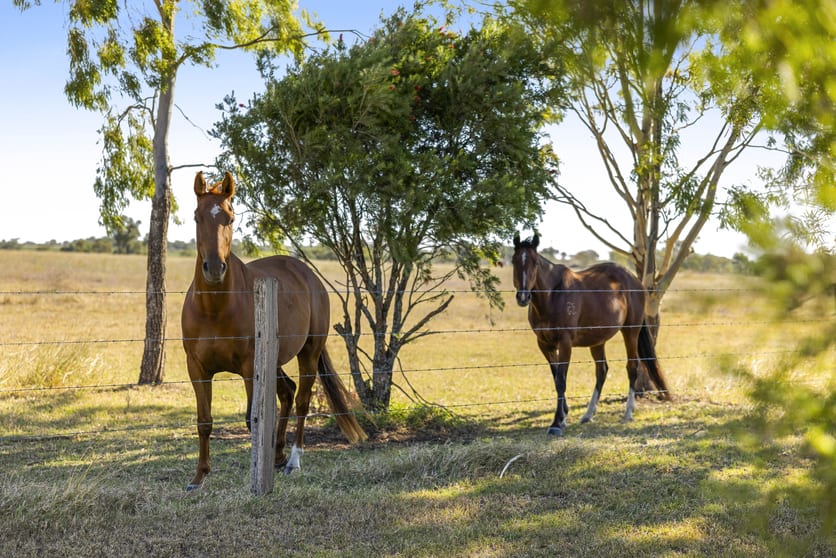 Click to view all images 2266 Toowoomba - Cecil Plains Road Biddeston QLD 4401 - Image 3