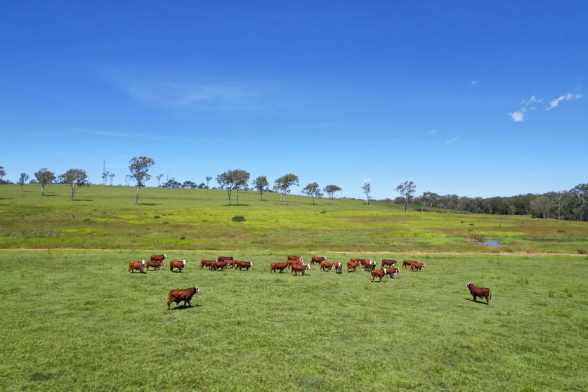 Click to view all images 2617 Mount Fox Road Mount Fox QLD 4850 - Image 3