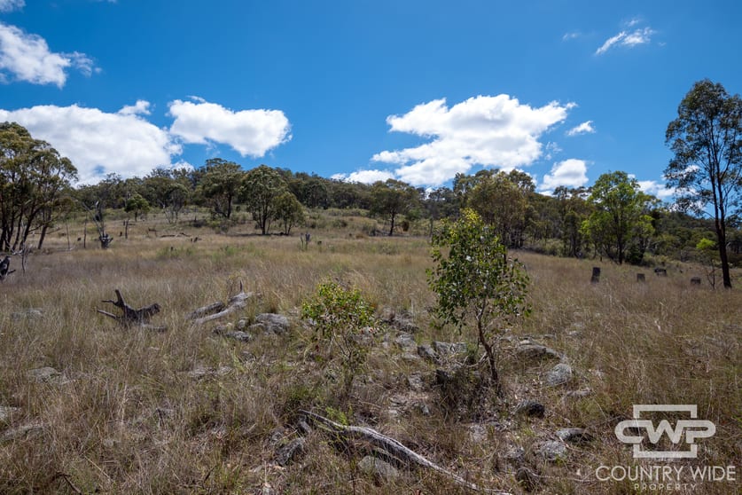 Click to view all images 1, 61, 4108 Tent Hill Road Emmaville NSW 2371 - Image 2