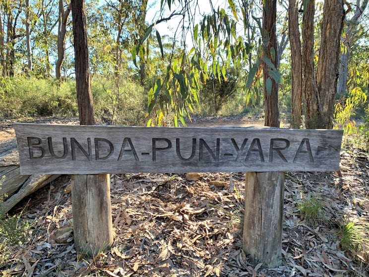 Bulls Run Road Laguna NSW 2325 - Image 2