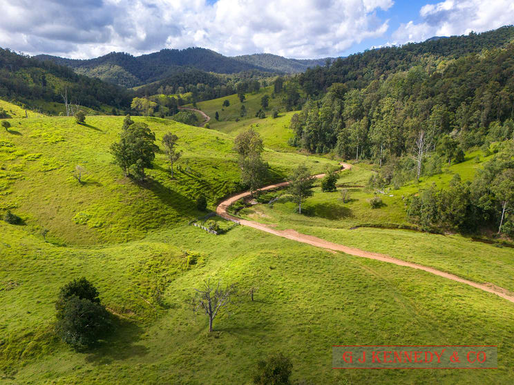 Click to view all images 123 Thumb Creek Rd Thumb Creek NSW 2447 - Image 3