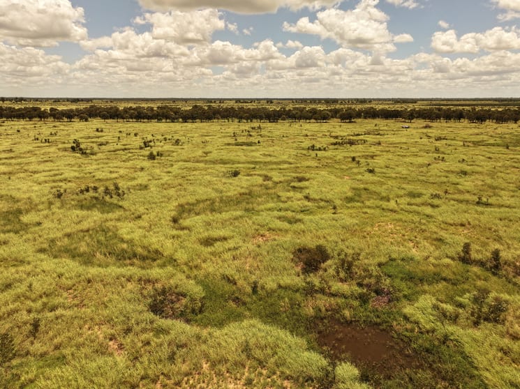 Click to view all images 9089-9096 Kilcummin Diamond Downs Road Pasha QLD 4721 - Image 3