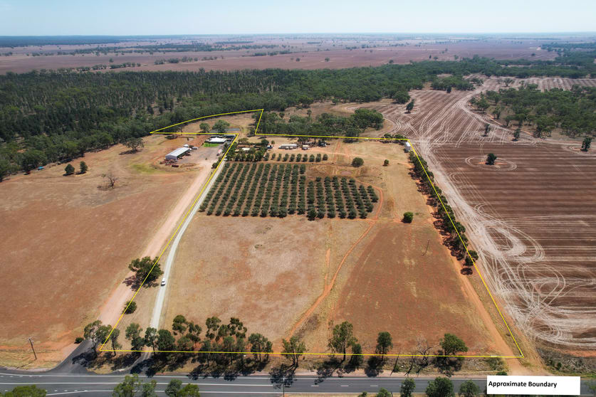9 The Mcgrane Way Tullamore NSW 2874 - Image 2