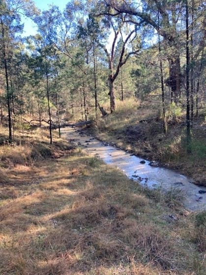 10 Mountain Creek Rd Mole River NSW 2372 - Image 2