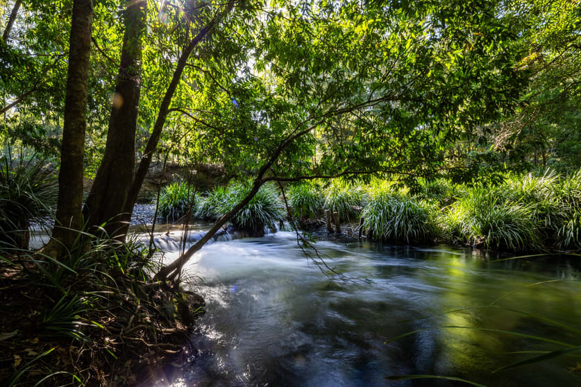 Click to view all images 930 promised land Road Bellingen NSW 2454 - Image 2