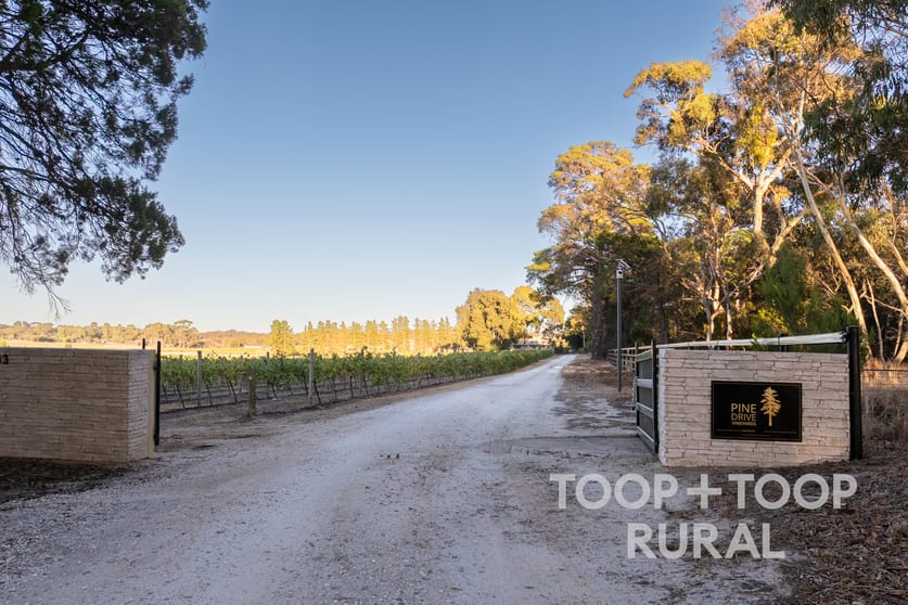 233 Pine Drive Nuriootpa SA 5355 - Image 3