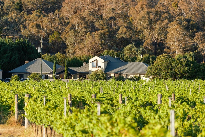 Click to view all images 1692 Murrumbateman Road Gundaroo NSW 2620 - Image 3