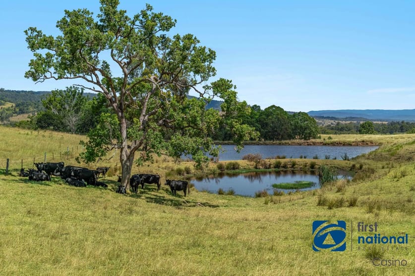 10366 Mount Lindesay Road Legume NSW 2476 - Image 1