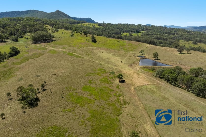 10366 Mount Lindesay Road Legume NSW 2476 - Image 2