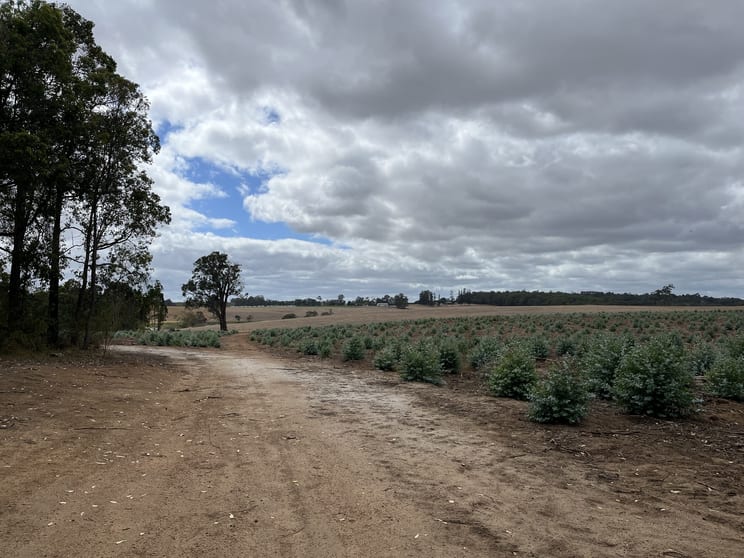 Click to view all images Lot 12913 Tannin Road Manjimup WA 6258 - Image 1