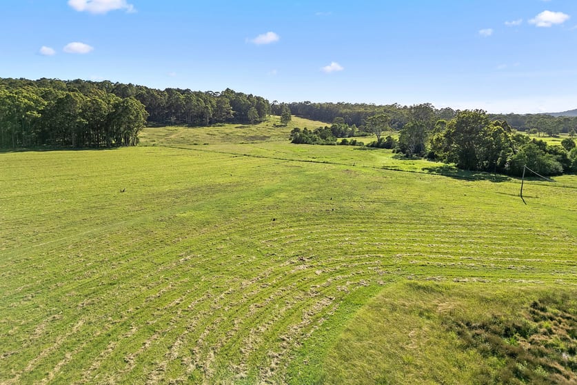544 Mandalong Rd Mandalong NSW 2264 - Image 3