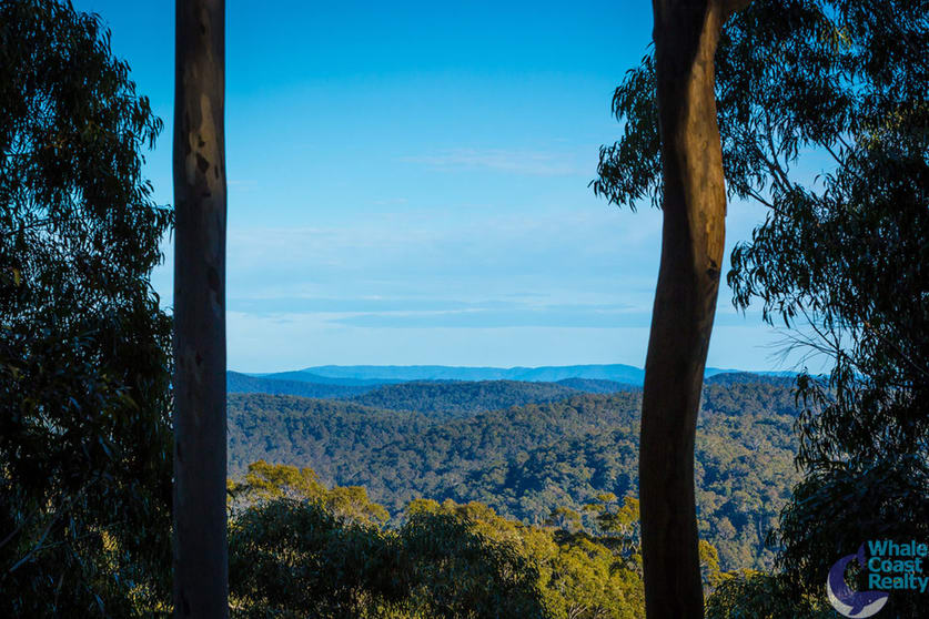 100 Hobbs Point Road Narooma NSW 2546 - Image 3