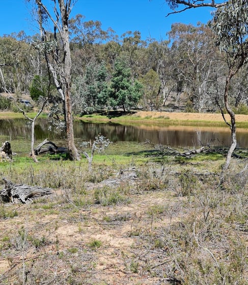 Click to view all images Lot 34 Palarang Road Merriangaah NSW 2632 - Image 3