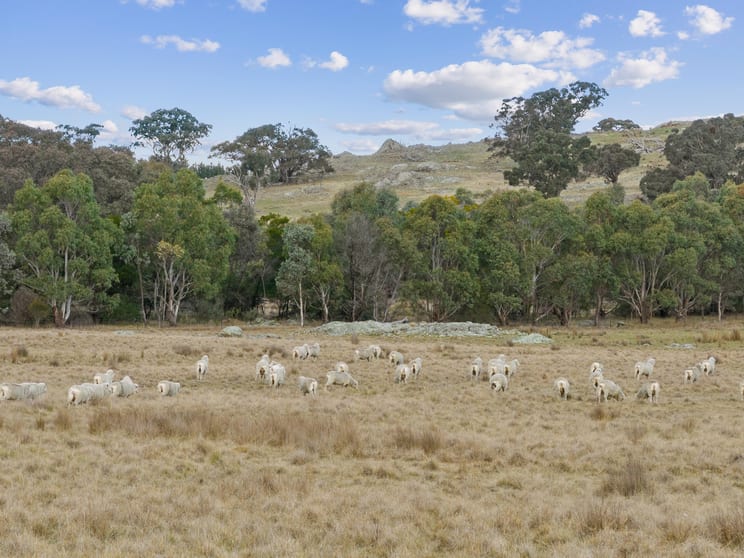 Click to view all images 1690 Cooks Hill Road Yass NSW 2582 - Image 2