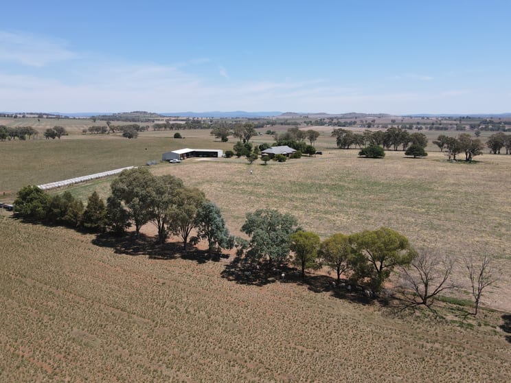 Click to view all images 427 Gallaghers Road Canowindra NSW 2804 - Image 2