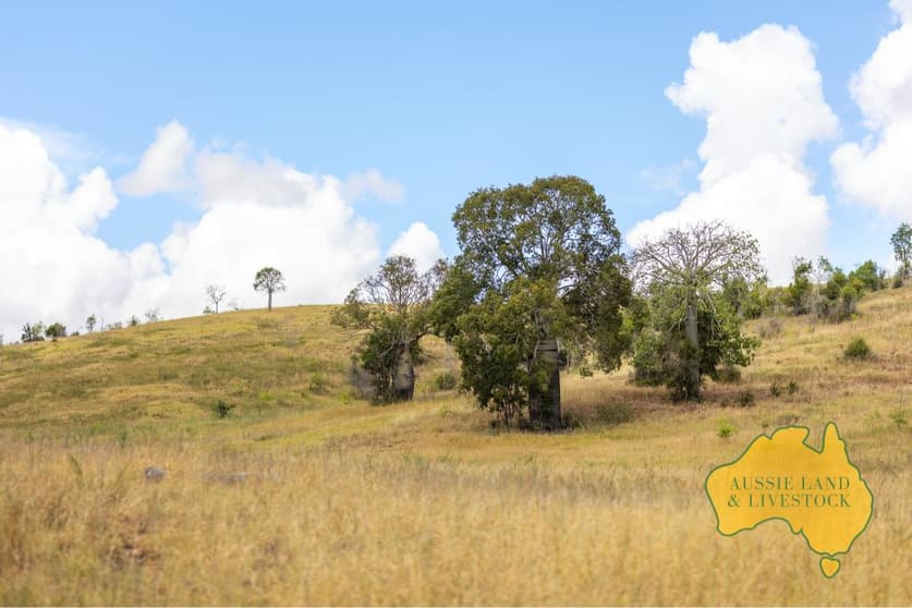 Click to view all images 280 HOCHMUTHS ROAD Cattle Creek QLD 4626 - Image 1