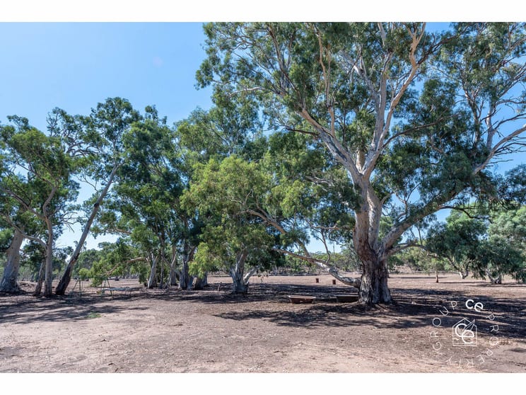 Click to view all images 1261 Black Hill Road Cambrai SA 5353 - Image 2