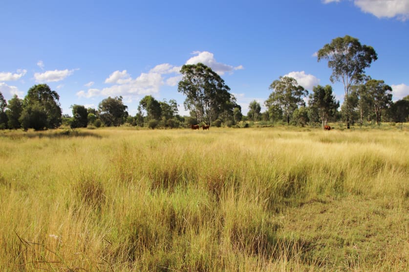Click to view all images 782 Floods Road Dululu QLD 4702 - Image 2