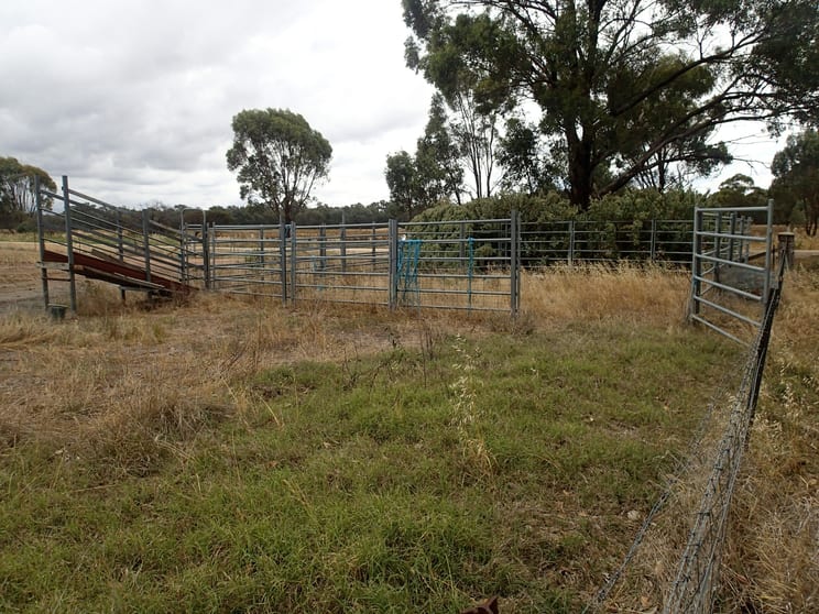Lots 10 & 11 Clohesseys Road Norong VIC 3682 - Image 2