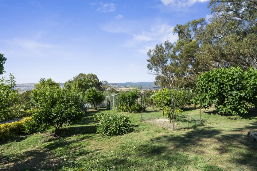 243 Davies Road Merrijig VIC 3723 - Image 2
