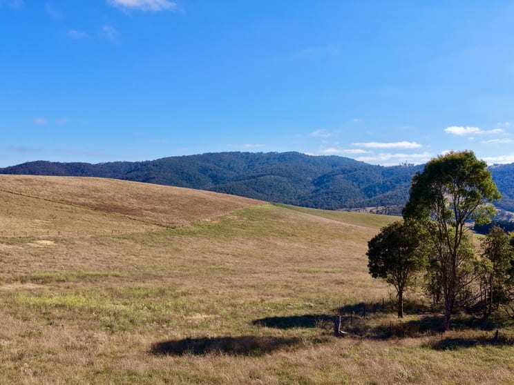 Click to view all images Lot 1/976 Sodwalls Road Tarana NSW 2787 - Image 3