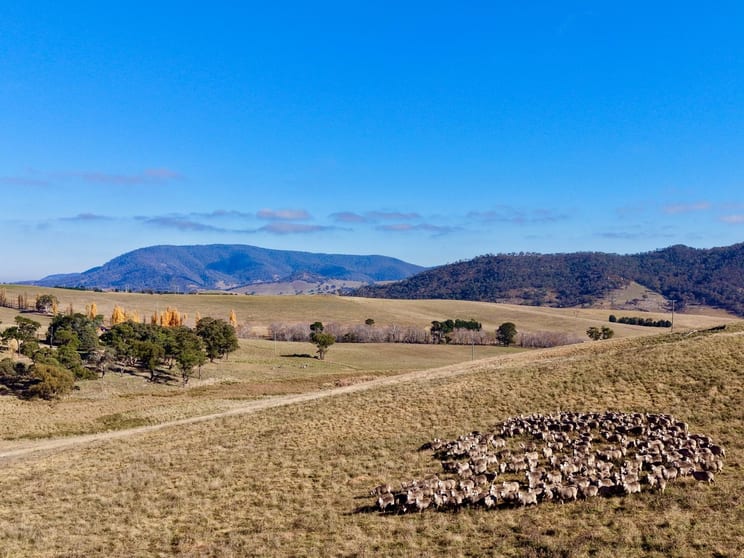 Click to view all images Lot 1/976 Sodwalls Road Tarana NSW 2787 - Image 2
