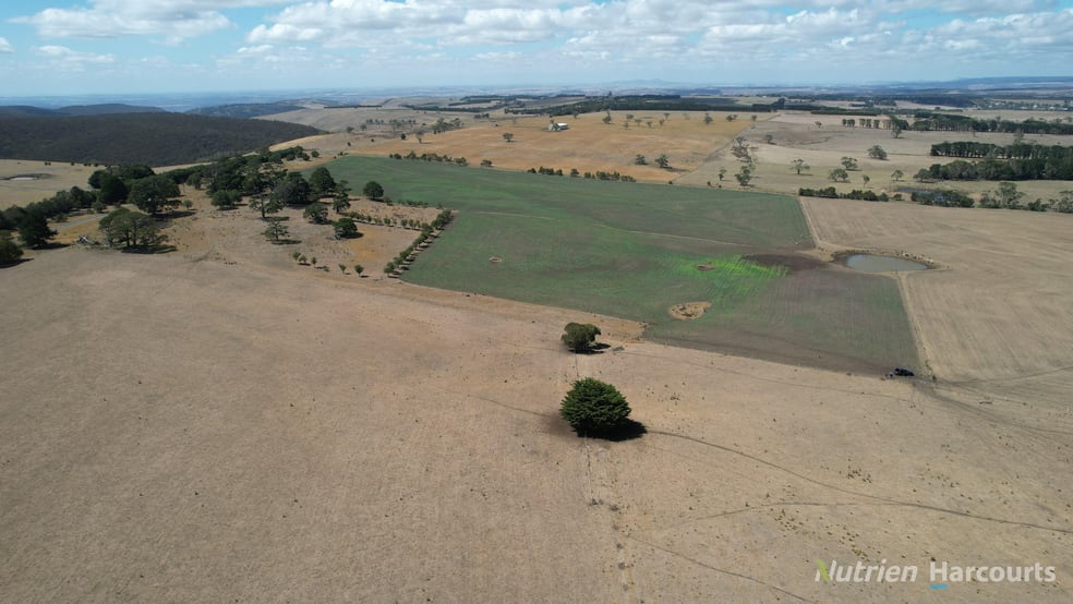 Lot 2 Mount Blackwood Road Korobeit VIC 3341 - Image 2