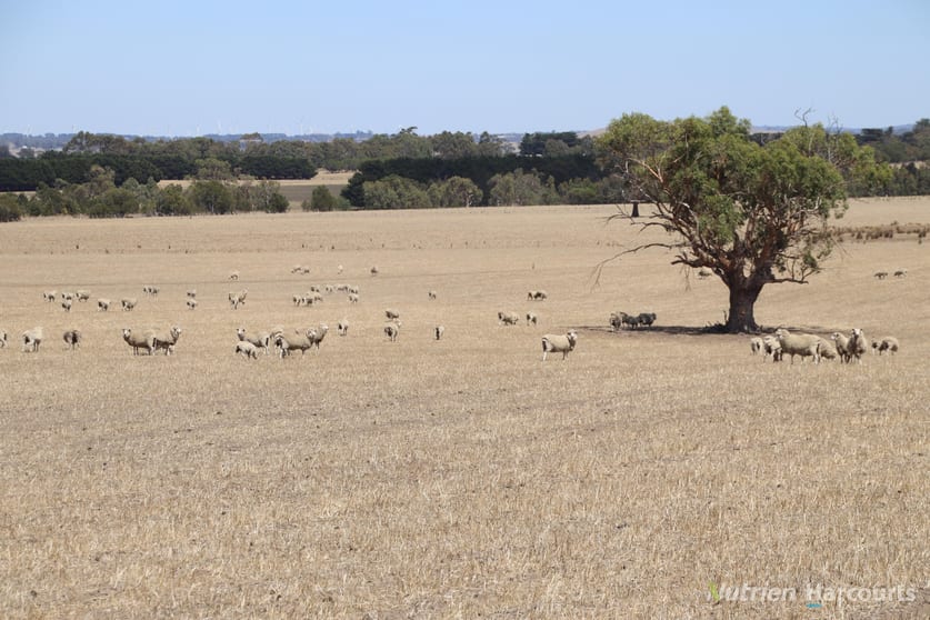 Lot 2 Mount Blackwood Road Korobeit VIC 3341 - Image 3