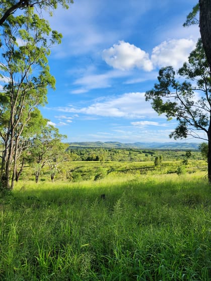 25B Salt Springs Road Glen Cairn QLD 4342 - Image 3