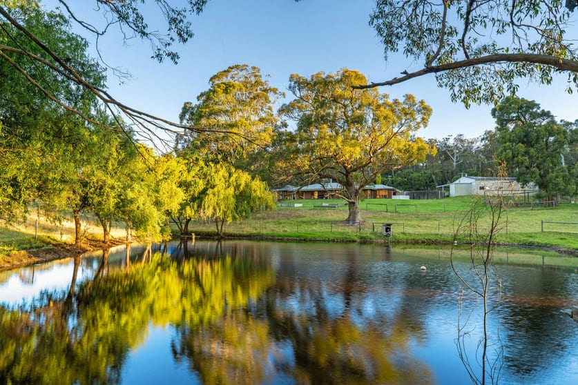 Click to view all images 308 Whites Road Meadows SA 5201 - Image 1