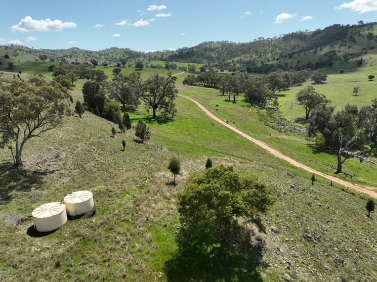 Click to view all images 'Lana' 1125 Guroba Road Twelve Mile NSW 2850 - Image 2
