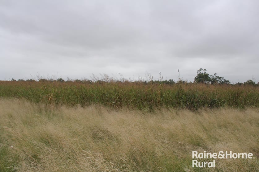 Click to view all images 1122 Kumbia Road Haly Creek QLD 4610 - Image 3