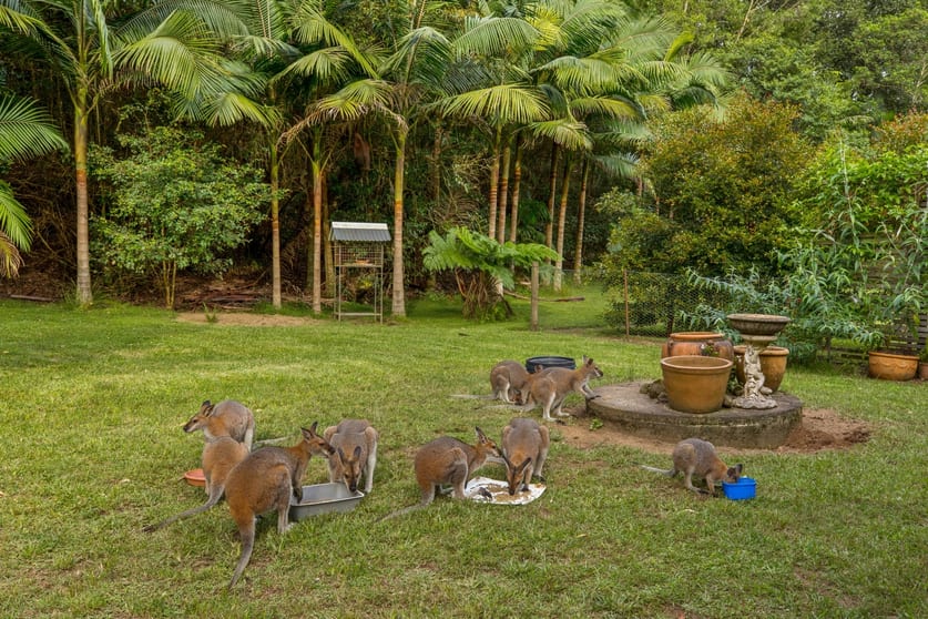 Click to view all images 34 Escotts Lane Martinsville NSW 2265 - Image 3