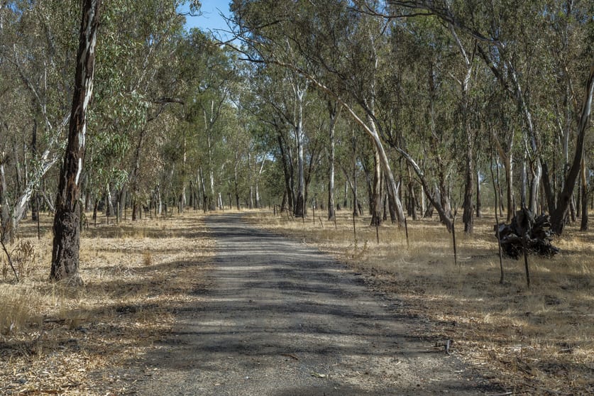 200 Campbells Road Redesdale VIC 3444 - Image 3