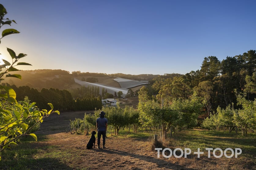 1 Stentiford Road Forest Range SA 5139 - Image 1