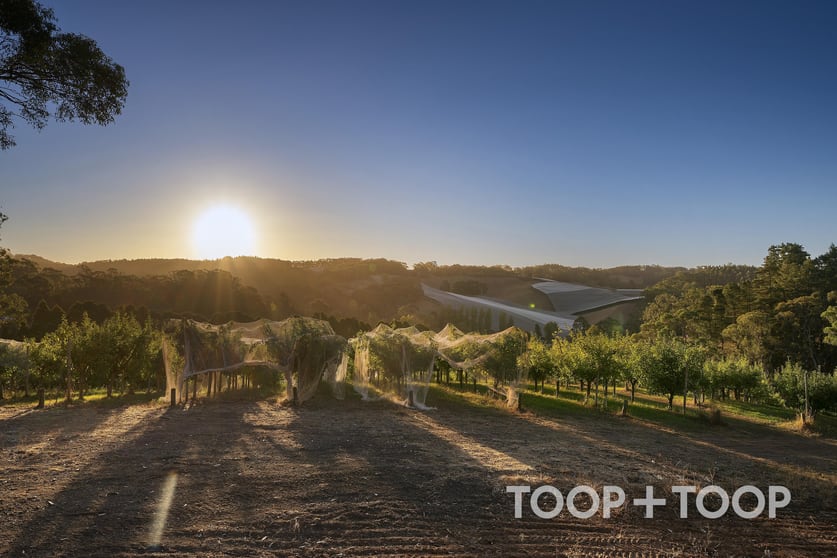 1 Stentiford Road Forest Range SA 5139 - Image 2