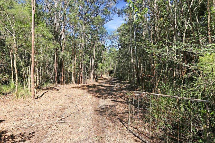 Click to view all images 210 Violet Hill Road Boolambayte NSW 2423 - Image 1