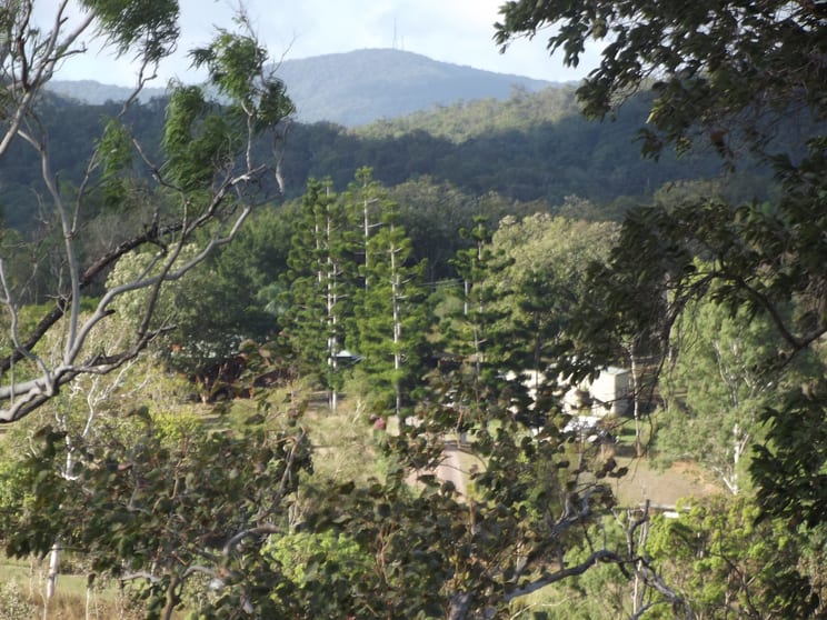 Click to view all images 617 Devereux Creek Road Devereux Creek QLD 4753 - Image 2