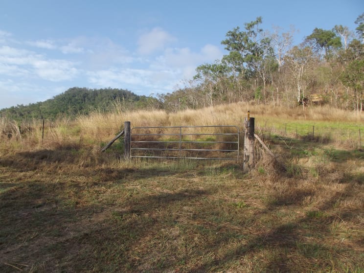 Click to view all images 617 Devereux Creek Road Devereux Creek QLD 4753 - Image 3