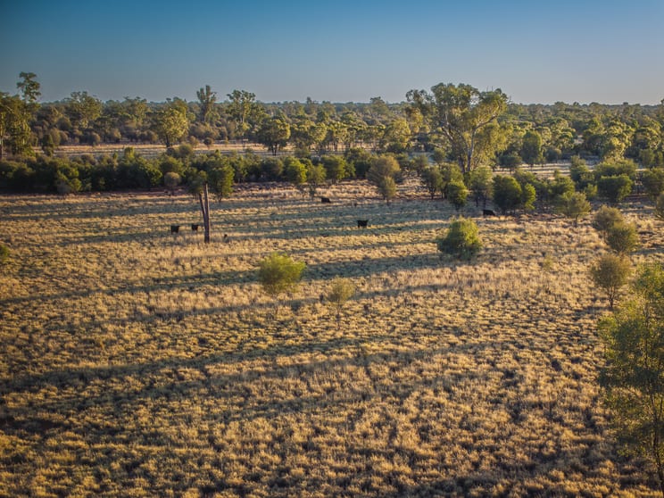Click to view all images 4550 Bollon Dirranbandi Road Dirranbandi QLD 4486 - Image 3